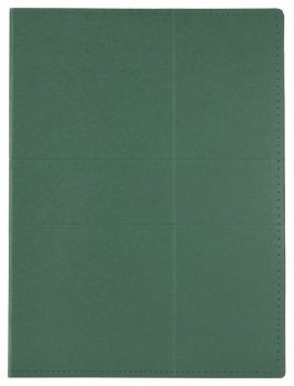 Comet document folder green