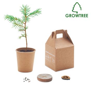 GROWTREE™ Set vyrobený z borovice beige