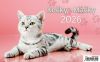 0966ebc914df643eba9482ead1f0a56d742ec6f1.jpg